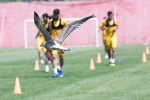 گزارش تصویری از تمرین طلایی پوشان